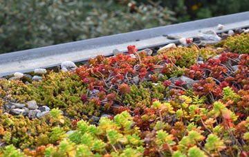 the cost of Rhives green roof installation
