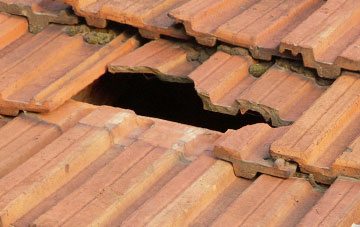 roof repair Rhives, Highland