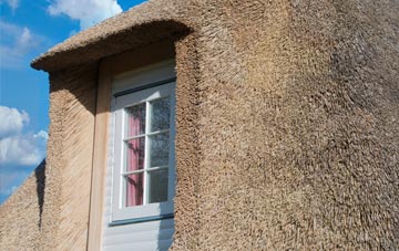 Rhives thatch roof disadvantages